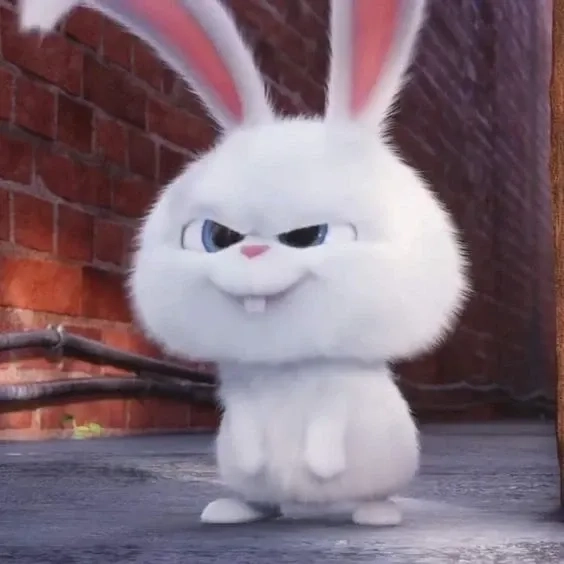 Ngắm nhìn vẻ đẹp thuần khiết của thỏ trắng snowball dễ thương