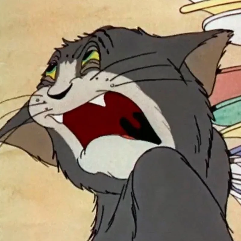 Bạn đã lưu đủ ảnh tom meme chưa