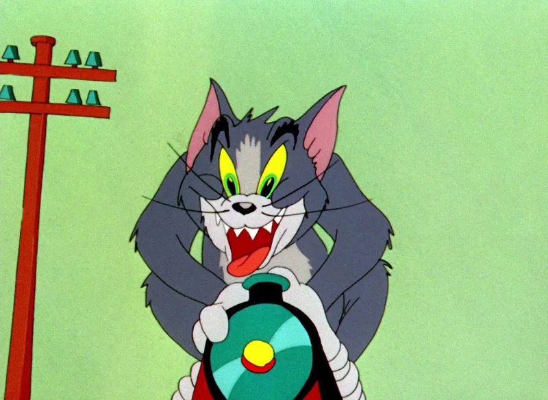 Đỉnh cao biểu cảm là đây ảnh mèo tom meme chất lượng cao