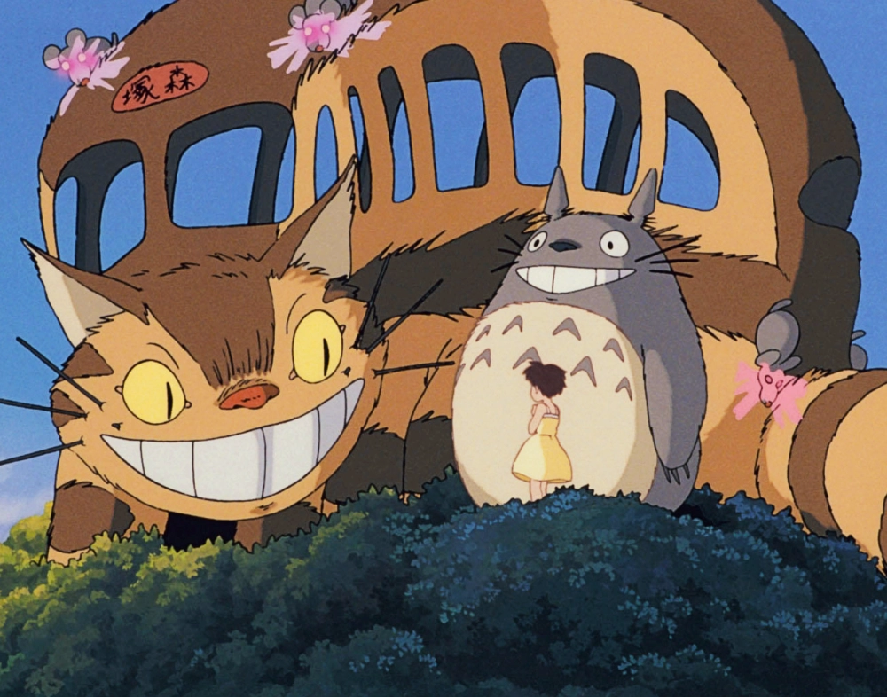 Totoro Cat có bộ lông mềm và đôi mắt phát sáng