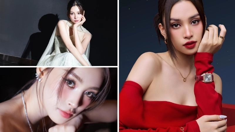 Tiểu sử về Trần Tiểu Vy