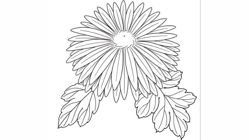 Tặng bé bộ tranh tô màu bông hoa cúc xinh xắn đáng yêu
