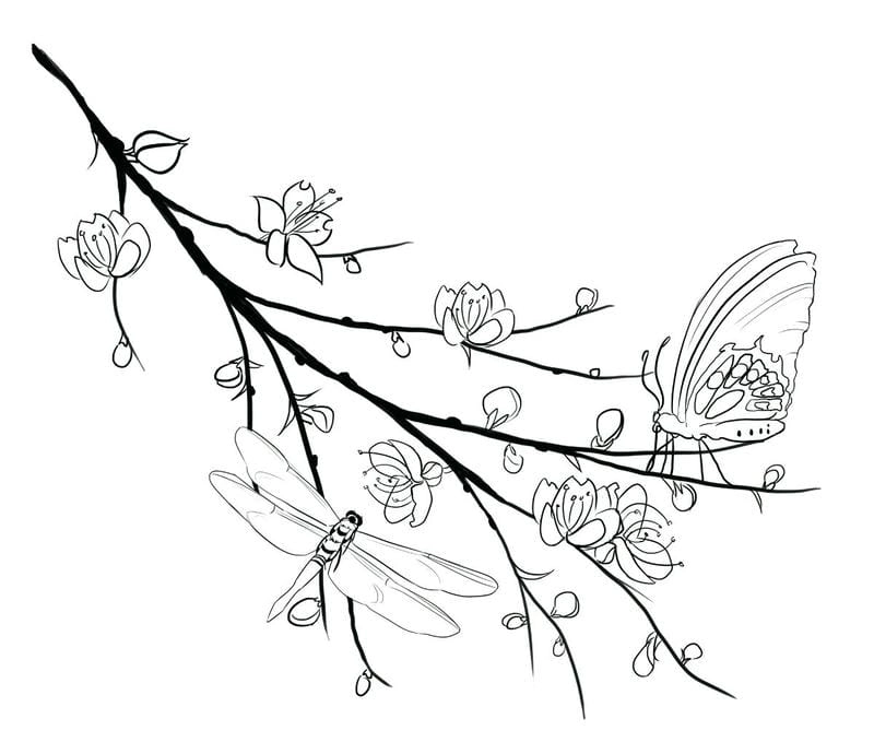 Tranh tô màu những bông hoa tươi sáng giúp bé phát triển