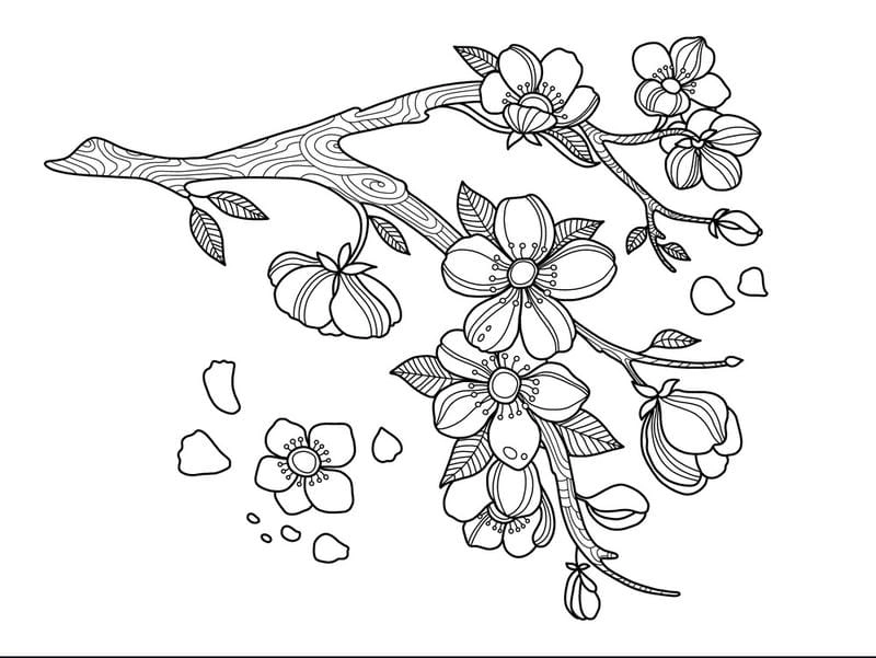 Tranh tô màu bông hoa đào mang không khí xuân rộn ràng