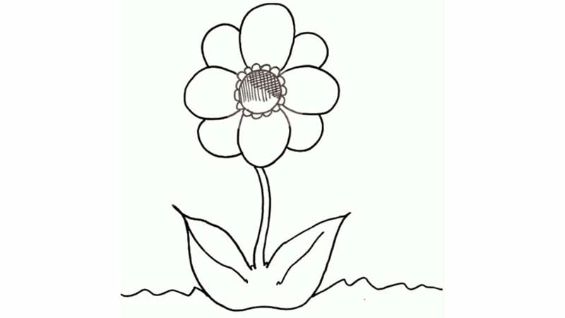 Tranh bông hoa tô màu cho bé phát triển tư duy nghệ thuật