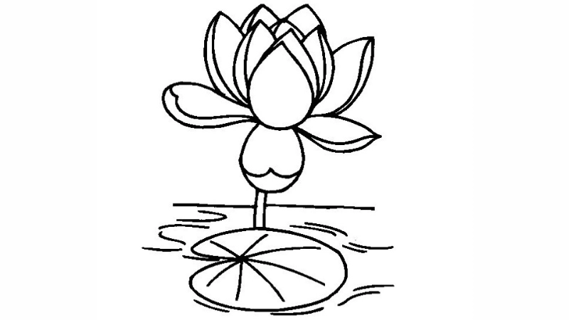 Học tô màu đẹp với tranh tô màu bông hoa sen