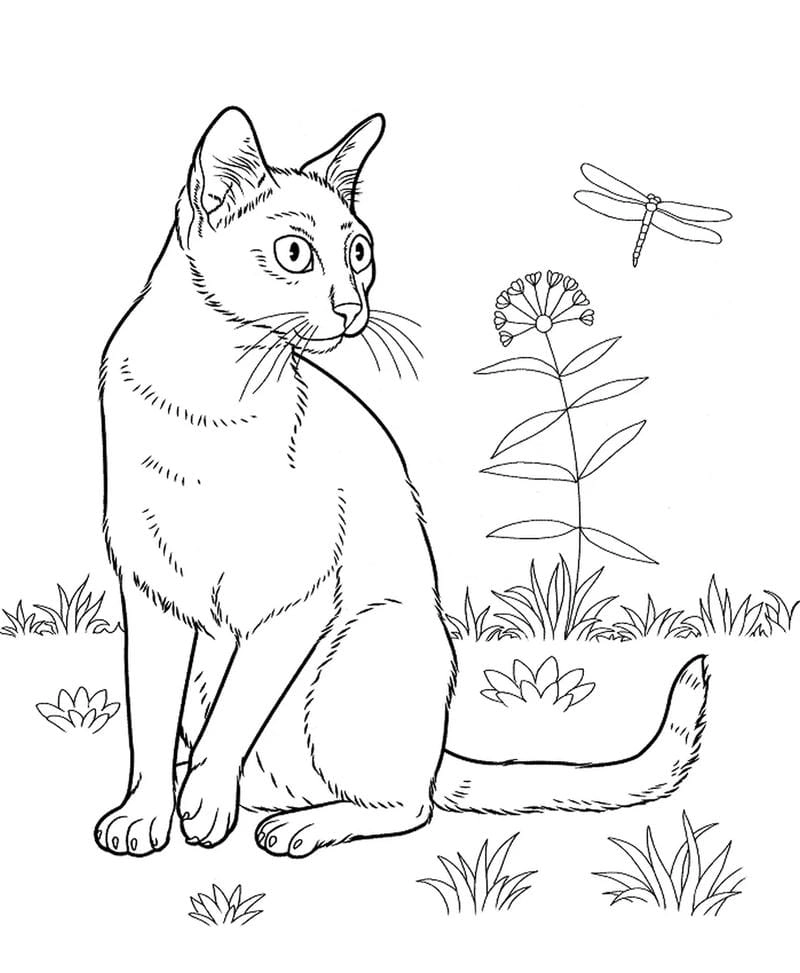 In tranh tô màu con mèo ngộ nghĩnh cho bé luyện kỹ năng tay