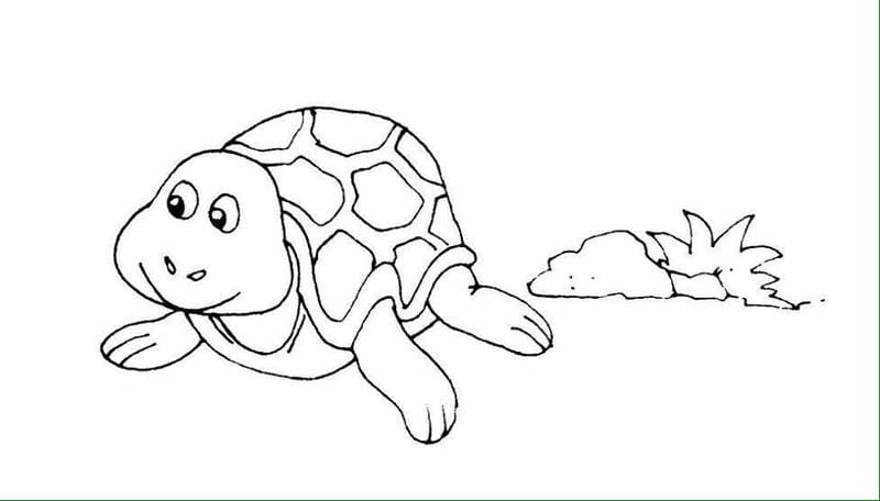 Thế giới màu sắc trong tranh tô màu con vật ngộ nghĩnh