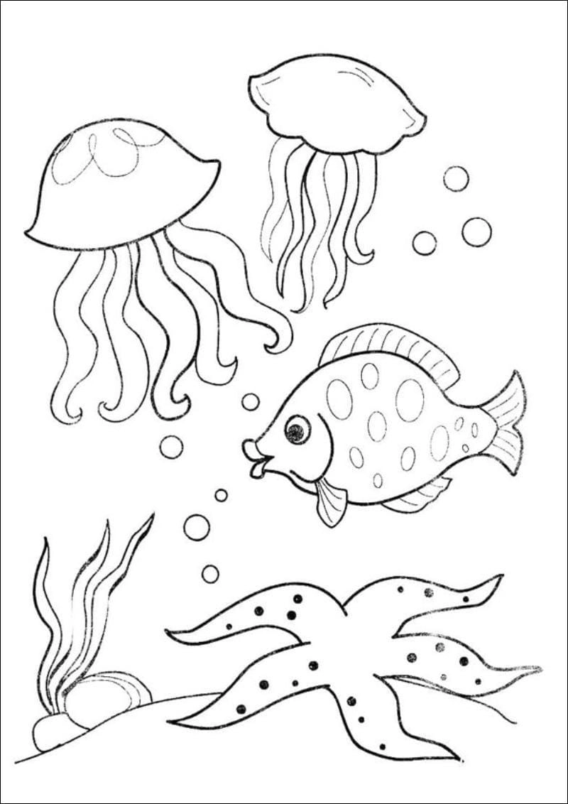 Khám phá bộ sưu tập tranh tô màu con vật cute