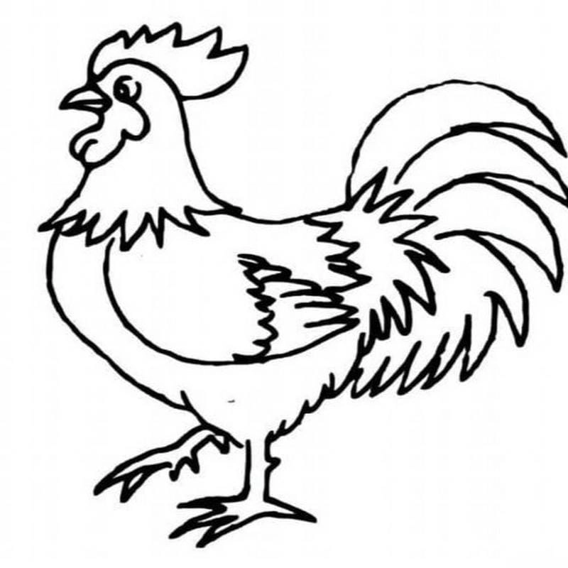 Bé thích thú với ngộ nghĩnh tranh tô màu con vật sống trong rừng