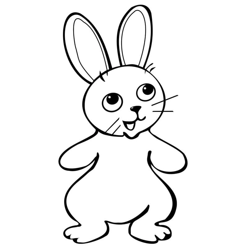 Bé thỏa sức sáng tạo với tranh tô màu cute chủ đề con vật cute