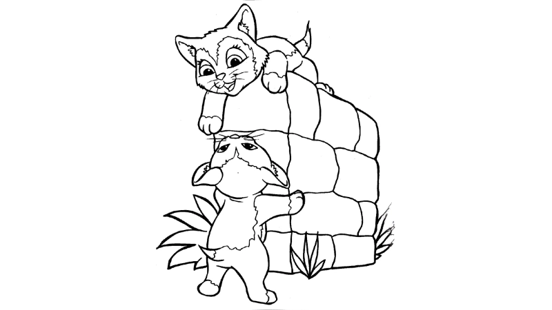 Khám phá bộ sưu tập mèo tô màu đáng yêu