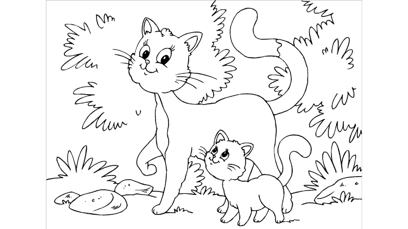 Tranh tô màu con mèo là như thế nào
