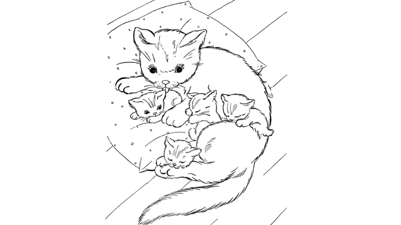 Tặng bé bộ to màu con mèo cute dễ thương