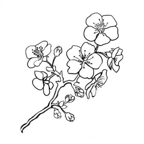 Tải ngay bộ tranh tô màu tết cute dễ thương