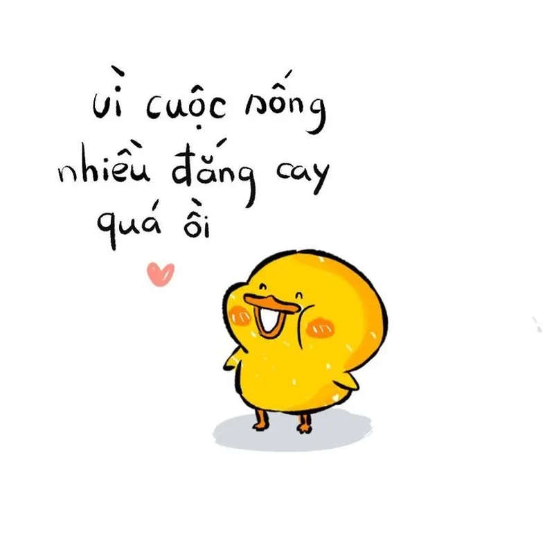 Trend meme vịt cute weibo đốn tim triệu fan mỗi ngày