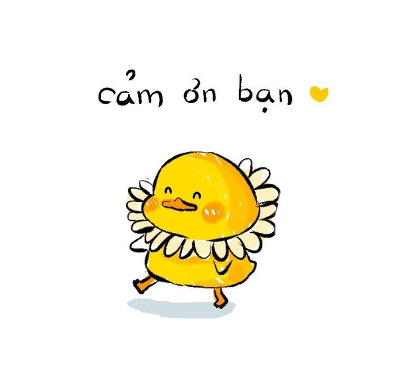 Không thể nhịn cười khi lướt phải meme vịt hài hước