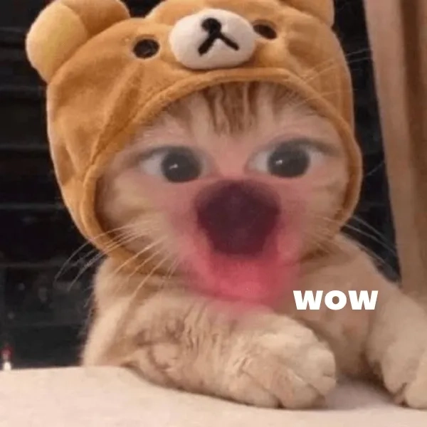 Cuốn hút không lối thoát với bộ sưu tập memes wow