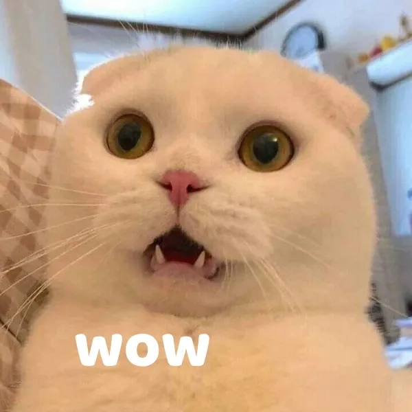Khi cảm xúc bùng nổ theo kiểu oh my gosh wow meme