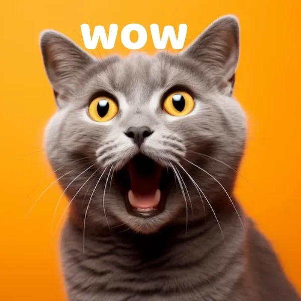 Cập nhật ngay bộ ảnh meme wow hài bựa nhất tuần