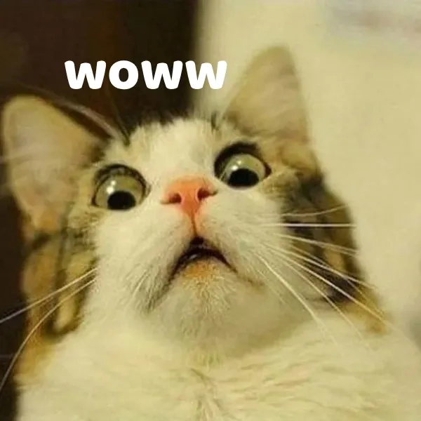 Gương mặt ngây thơ pha lẫn bất ngờ từ meme wow em chưa 18
