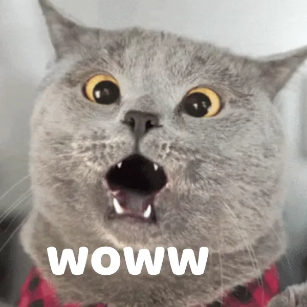 Tán dương hết nấc với wow clap meme cực viral