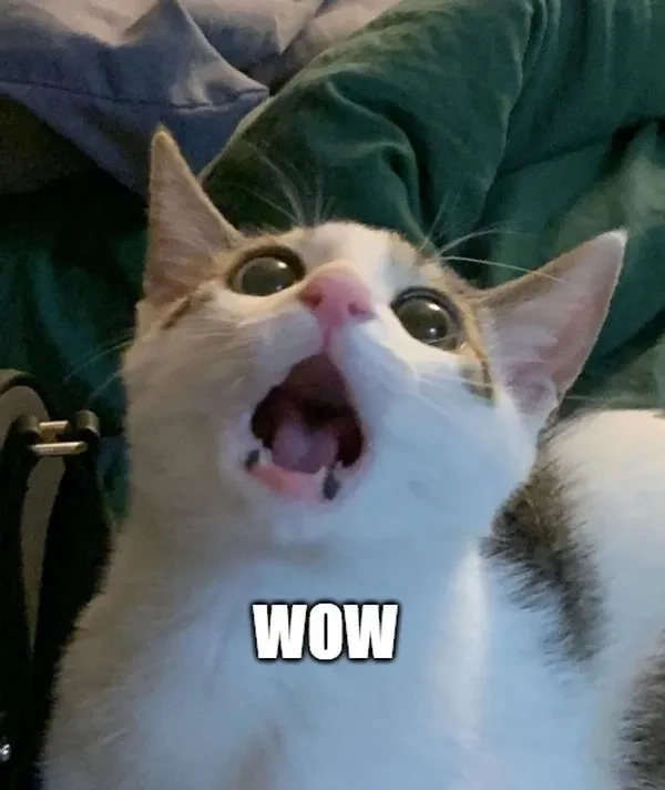 Bạn sẽ bất ngờ với âm thanh từ wow meme sound