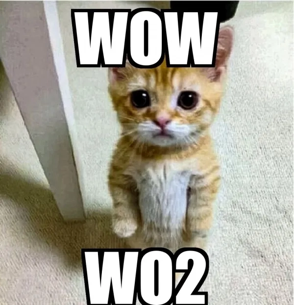 Phản ứng yêu thích từ boom chicka wow wow meme