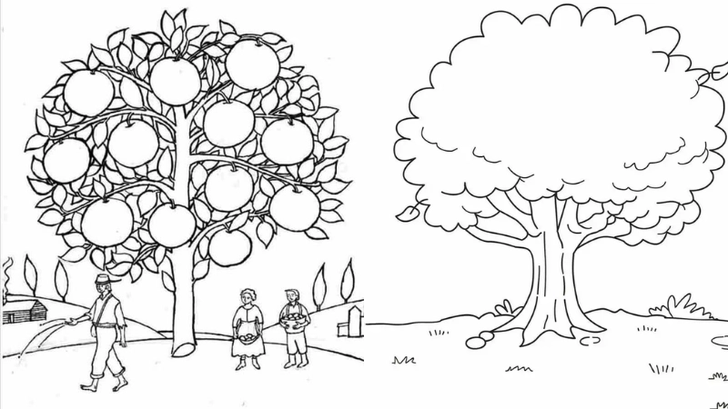 Tranh tô màu cây xanh là như thế nào