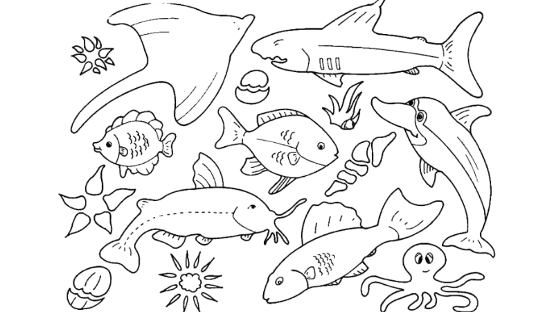 Tranh tô màu con vật sống dưới nước là như thế nào