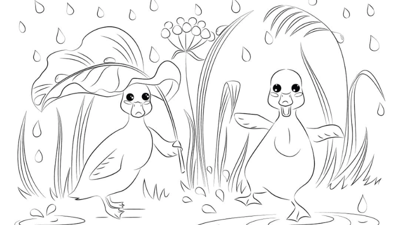 Tranh tô màu con vịt là như thế nào 