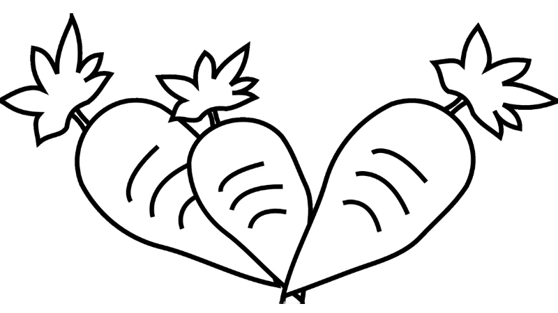 Tranh tô màu củ cà rốt là như thế nào 