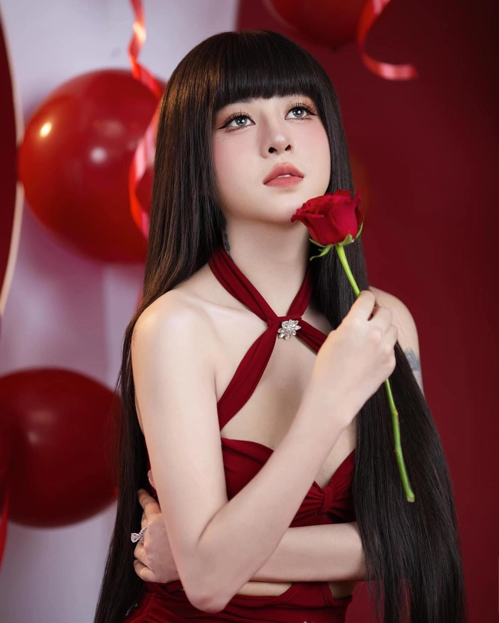 Hình ảnh loài hoa Cẩm Tiên nhẹ nhàng thanh tao