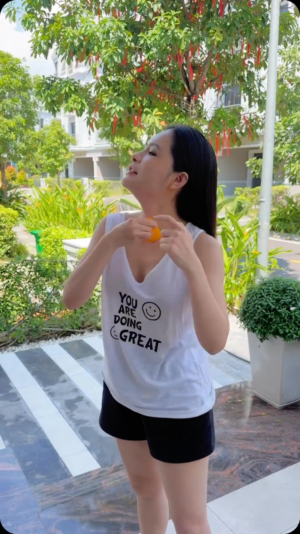 Hành trình sự nghiệp được ghi lại trong tiểu sử Đoàn Di Băng