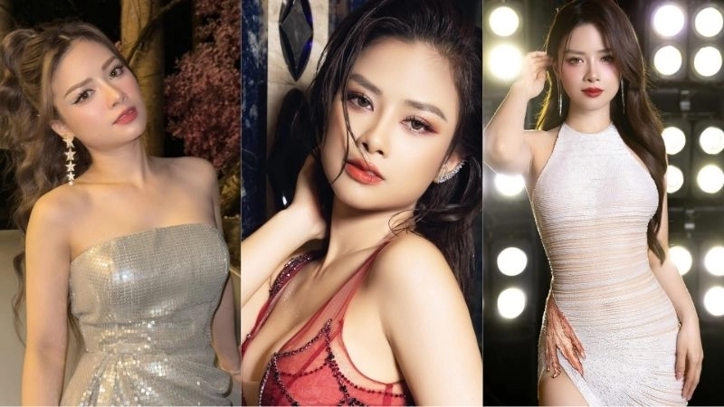 Tiểu sử về Dương Hoàng Yến