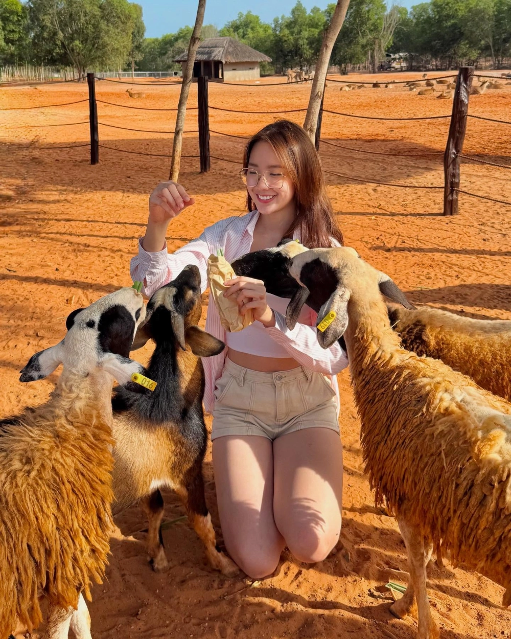 Khán giả bất ngờ khi thấy Bảo Ngọc Đồ Rê Mí ngày nào