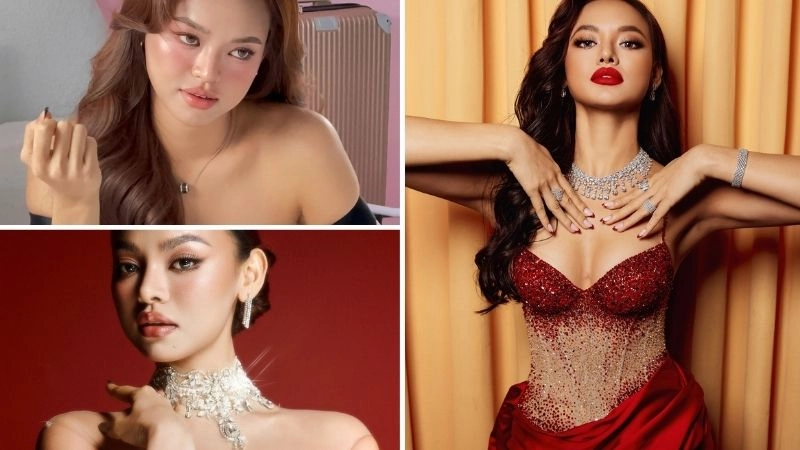 Tiểu sử về Mai Ngô