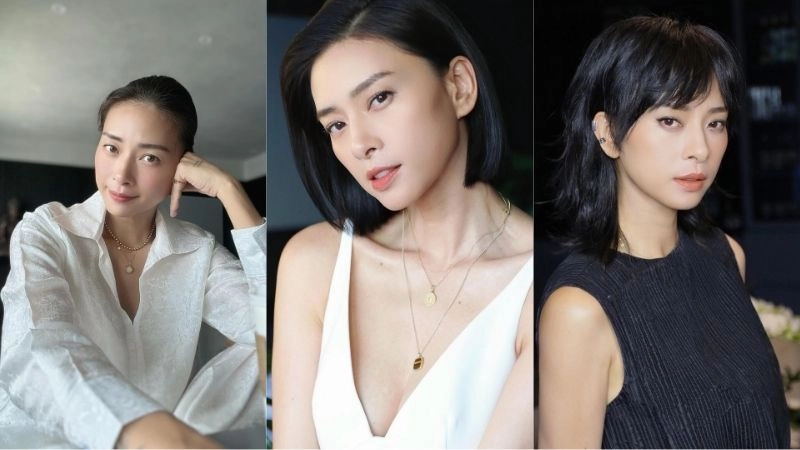 Tiểu sử về Ngô Thanh Vân