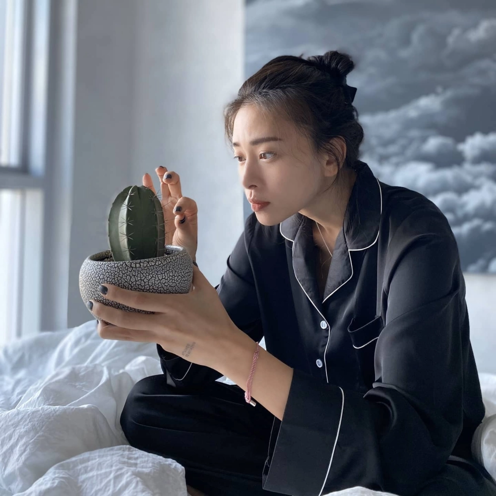 Chân dung ghi lại hành trình rạng rỡ trong tiểu sử Ngô Thanh Vân