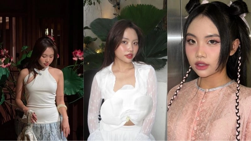 Tiểu sử về Phương Mỹ Chi