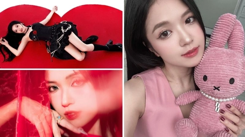 Tiểu sử về Suni Hạ Linh