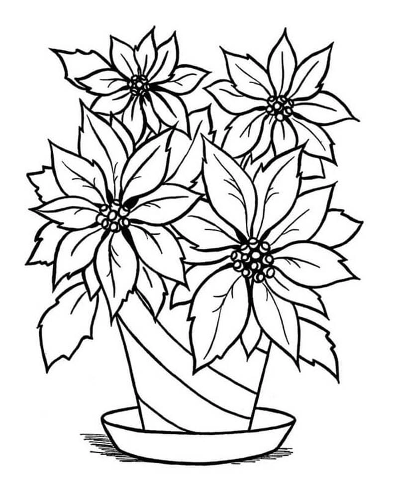Dễ tải dễ tô tranh tô màu bình hoa tranh tô màu bình hoa đơn giản