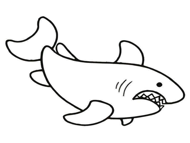 Bé rèn kỹ năng tay với tô màu hình con cá mập