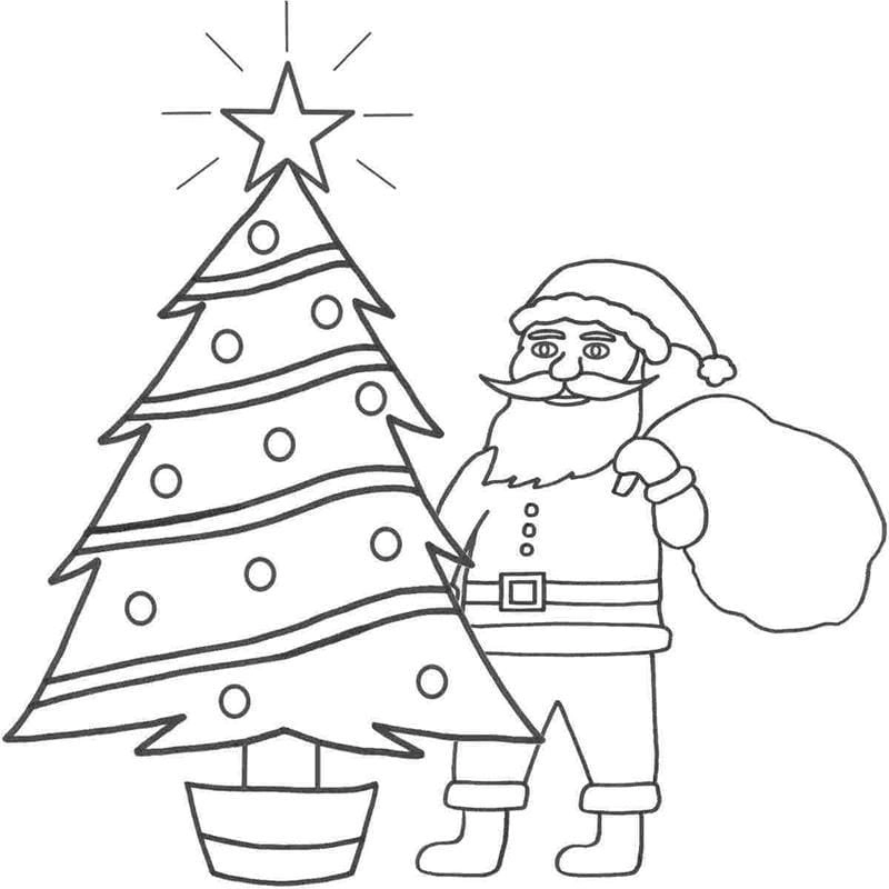 Tải nhanh bộ hình cây thông noel tô màu
