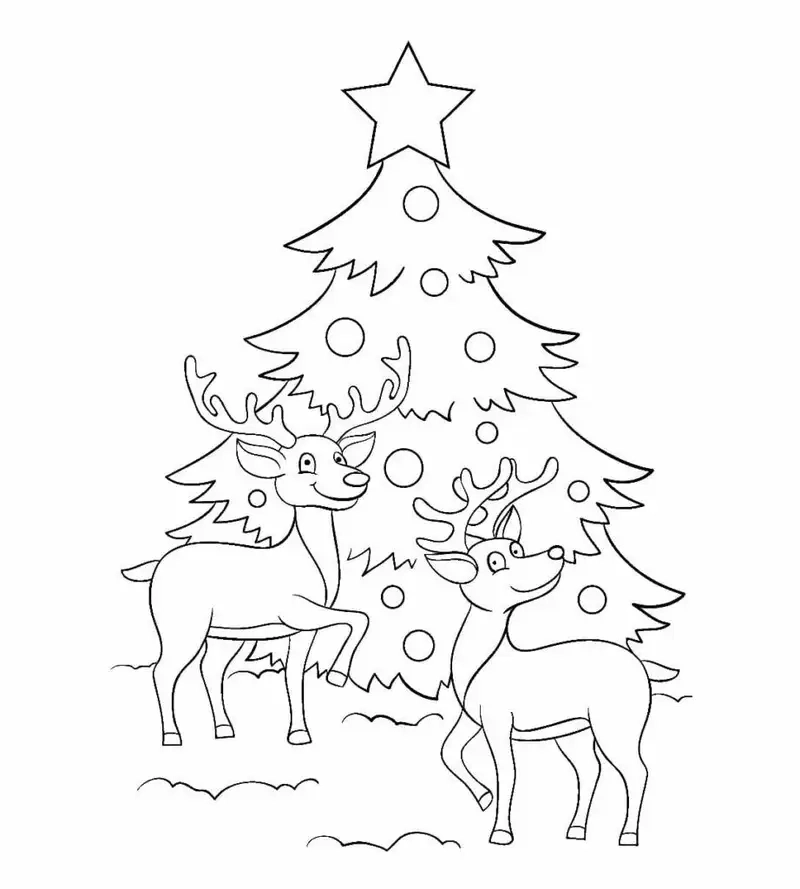 Bức tranh tranh tô màu cây thông noel đầy cảm hứng sáng tạo