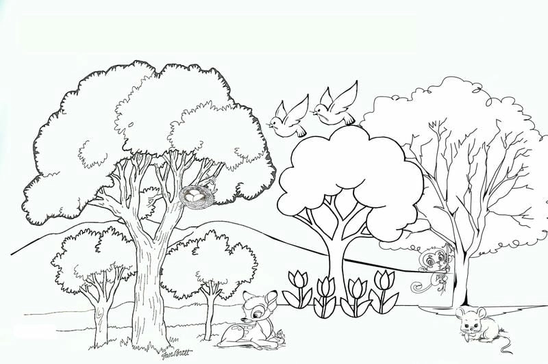 Khám phá ngay tranh tô màu cây xanh đẹp tự nhiên