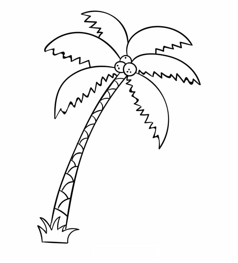 Lựa chọn đa dạng các hình tô màu cây xanh đẹp mắt