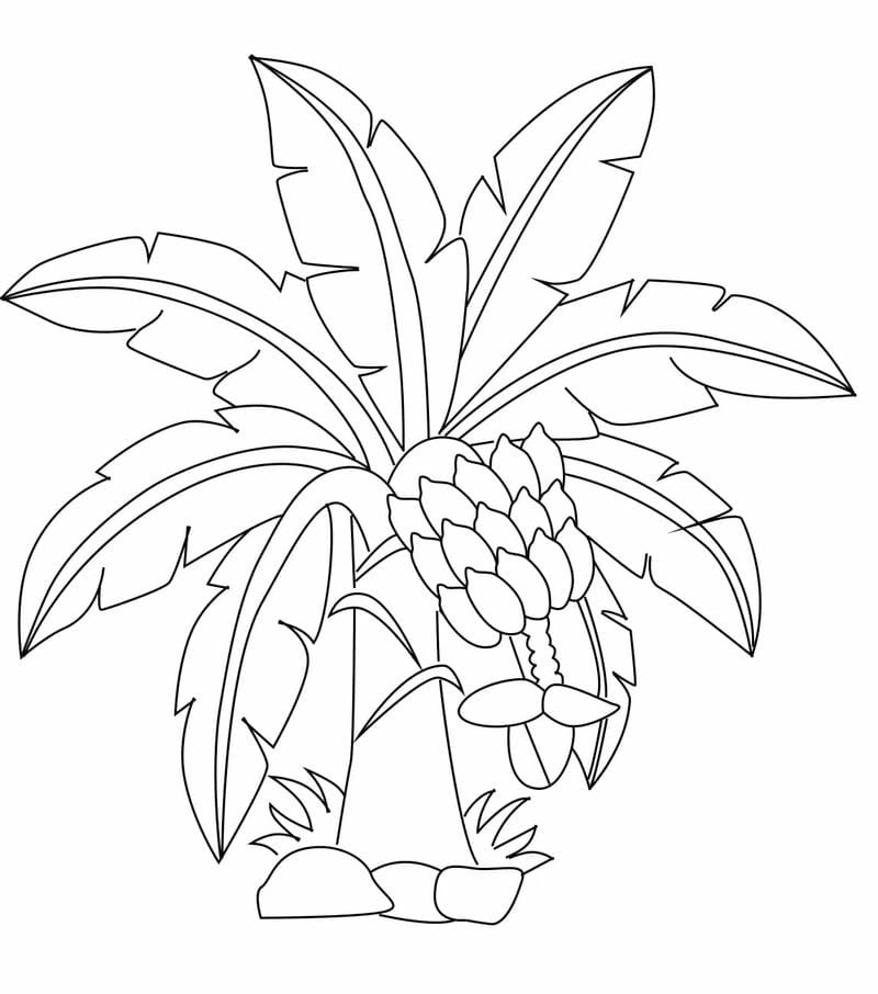 Học và chơi sáng tạo cùng tranh tô cây xanh đầy màu sắc