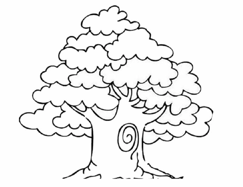 Cùng bé rèn luyện kỹ năng tô màu cây xanh tự nhiên