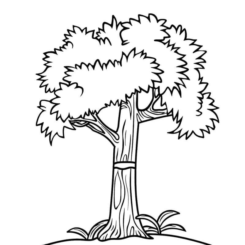 Giới thiệu các mẫu đơn giản để tô màu lá cây tại nhà